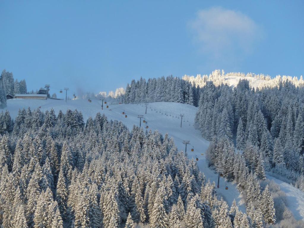 Silberdistel Garni 3* Bolsterlang